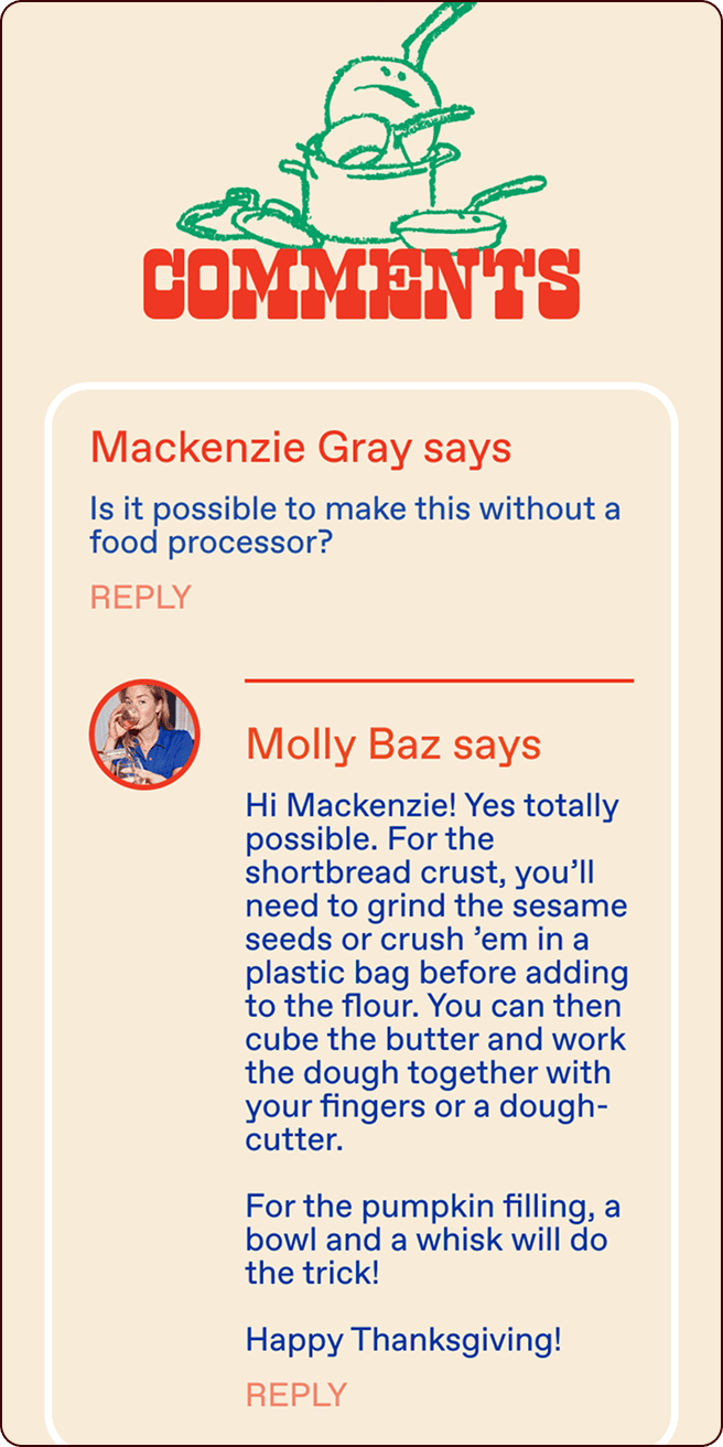 Screenshot of an online comment section where a user asks about making a recipe without a food processor, and Molly Baz replies with alternative instructions. | Wonderly