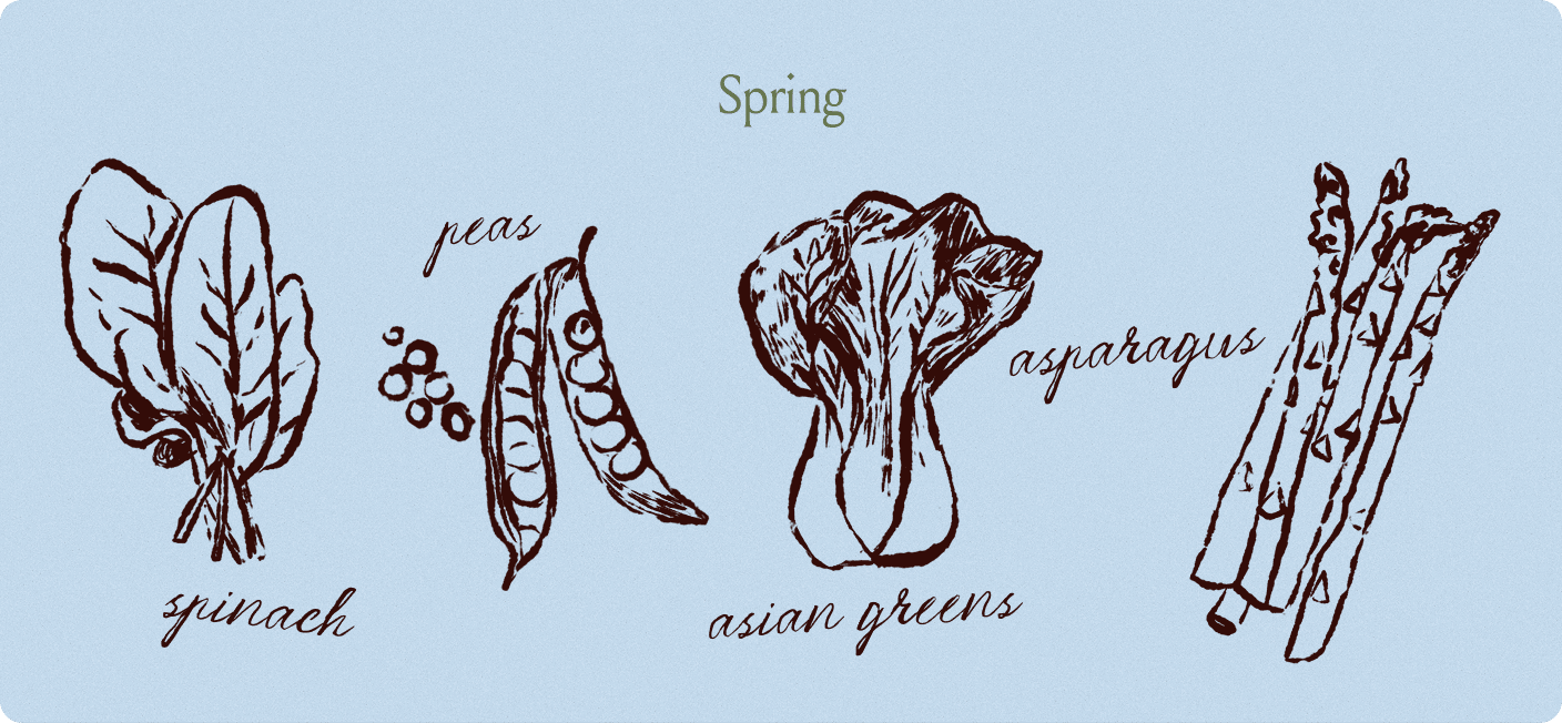 Spring
