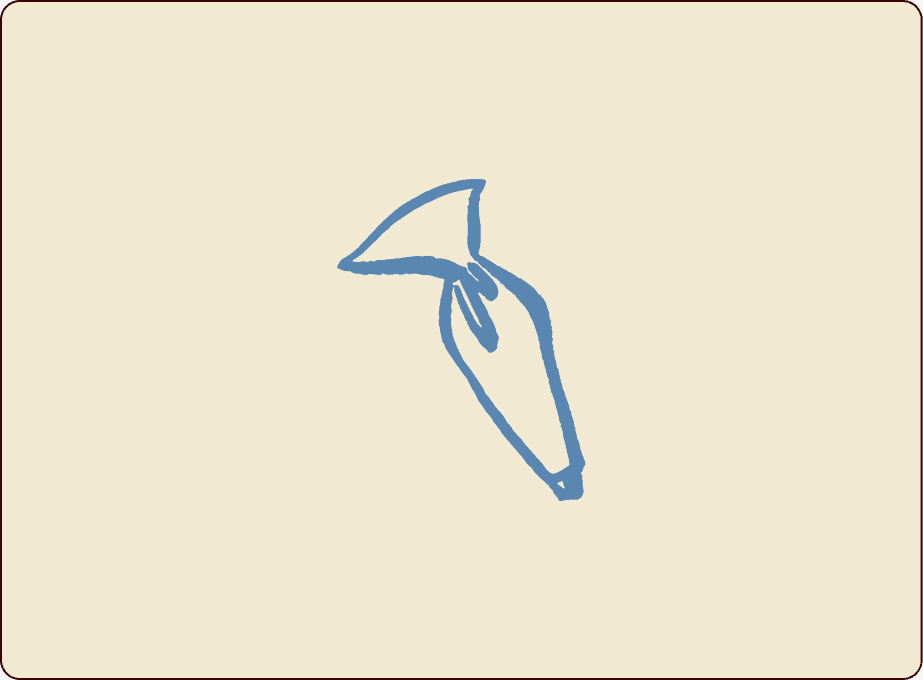 Simple blue line drawing of a squid on a beige background with rounded corners. | Wonderly